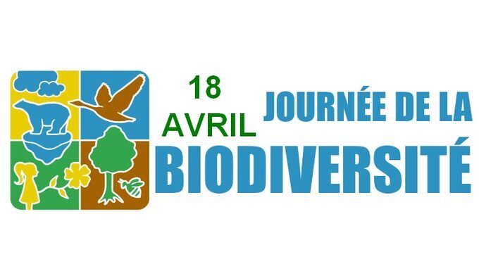 Journée biodiversité (2).jpg