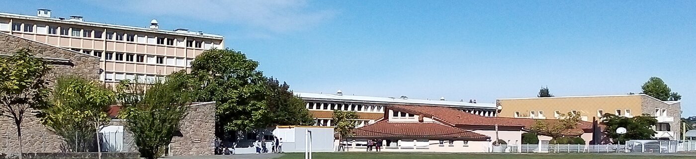 IMG_20190923_121532.jpg